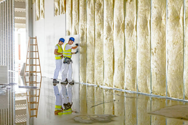 Best Insulation Maintenance and Repair in Lavonia, GA